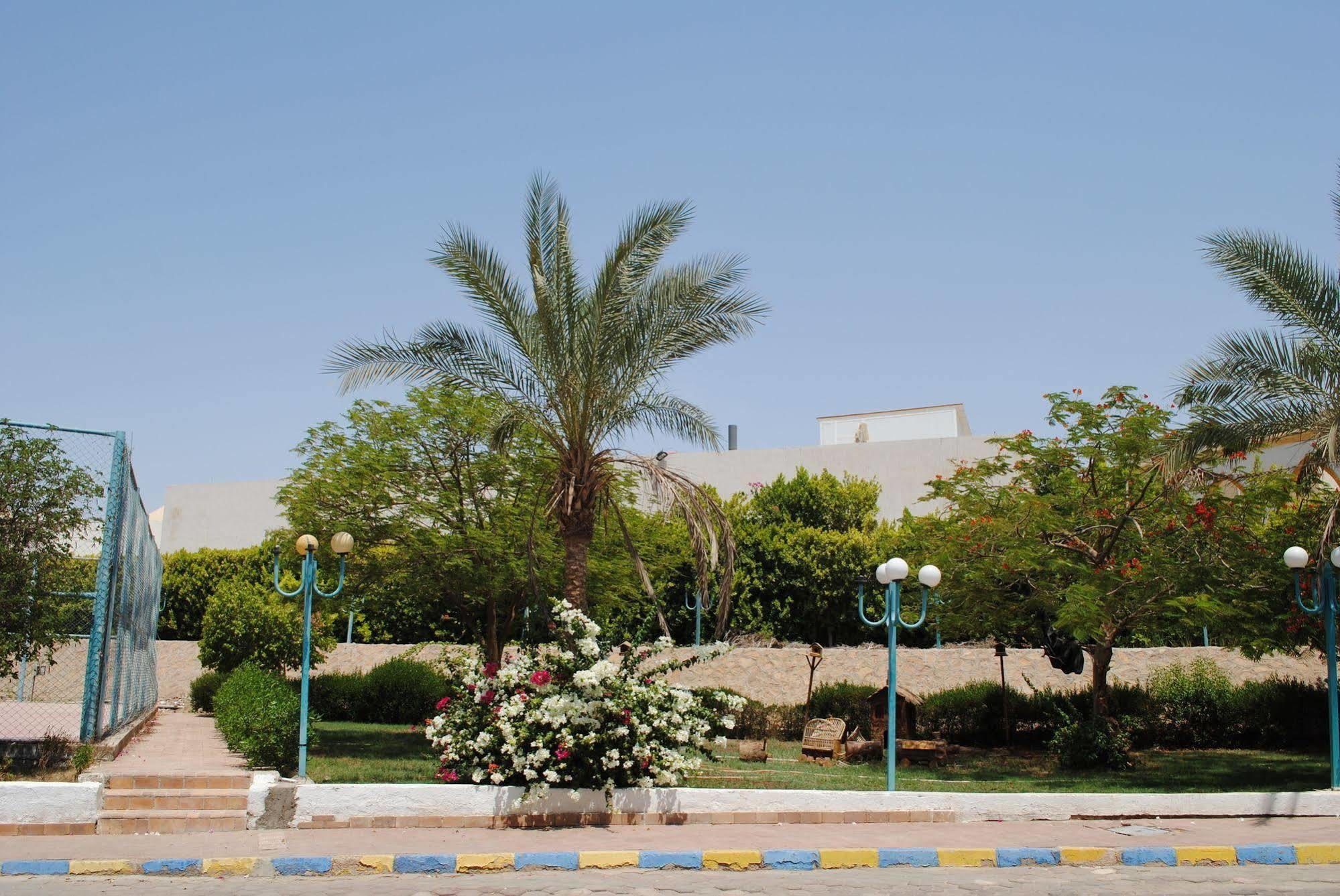 Sharm Cliff Resort מראה חיצוני תמונה
